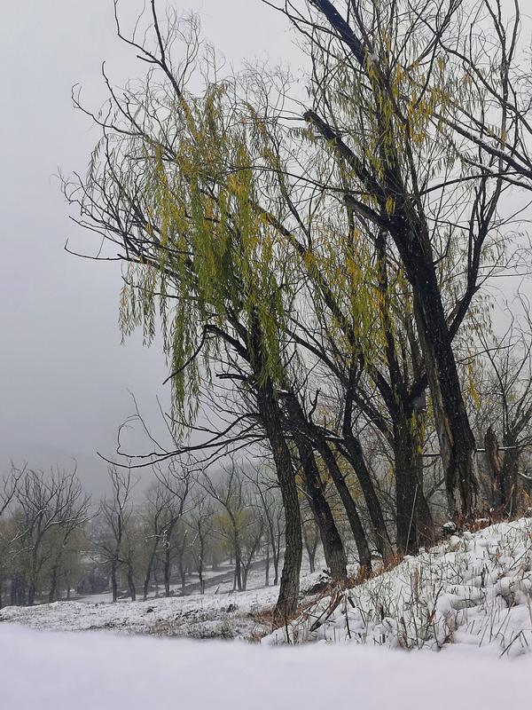        《对雪》唐/高骈