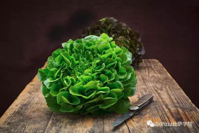 2,比布生菜bibb lettuce