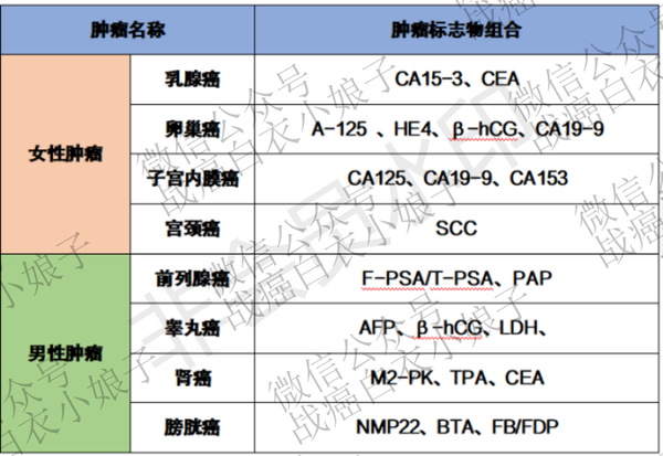 睾丸癌:现为罕见癌症,是一种可治愈的恶性肿瘤,以临床表现为主.