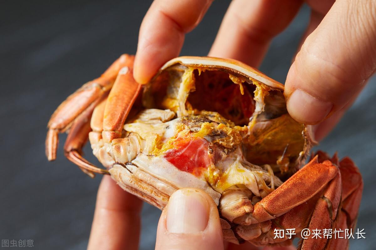 秋风起螃蟹肥螃蟹怎么选这些吃螃蟹的禁忌你都知道吗