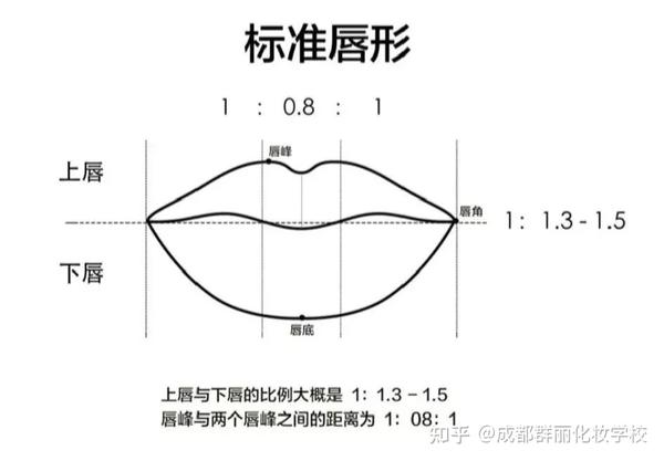 根据标准的唇形来分类,我们大多数人的的唇形有以下几种类型,而想要