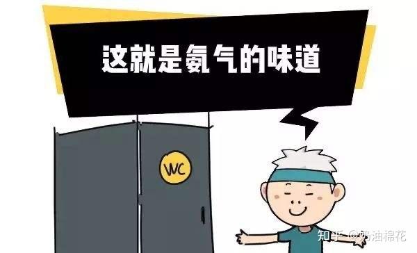 其实氨气在生活中很常见,比如养殖场臭气熏天的难闻气味,也是因为动物
