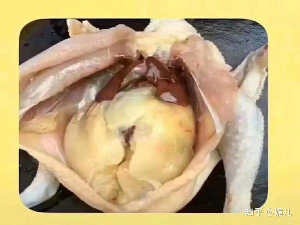 1,内脂就是包围五脏六腑的肥油脂肪!有些人为什么肚子那么大?