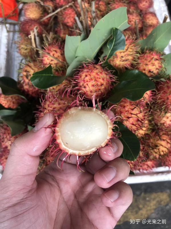 红毛丹作用及其功效