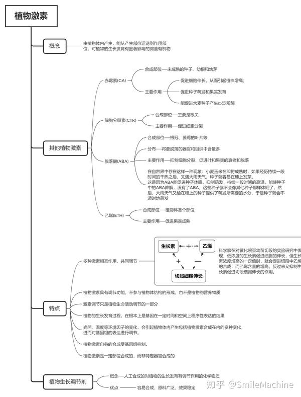 植物的激素调节-知识结构图