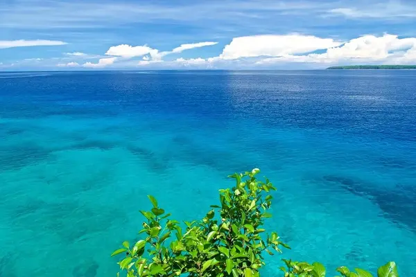 想去菲律宾旅游,但是有那么多海岛,谁能给系统分析讲讲菲律宾究竟哪个