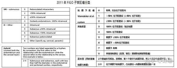 子宫肌瘤的故事