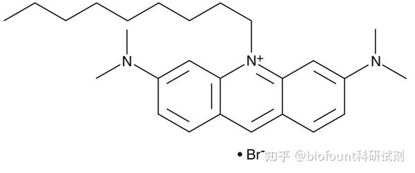 10 壬基溴代吖啶橙线粒体荧光探针 知乎