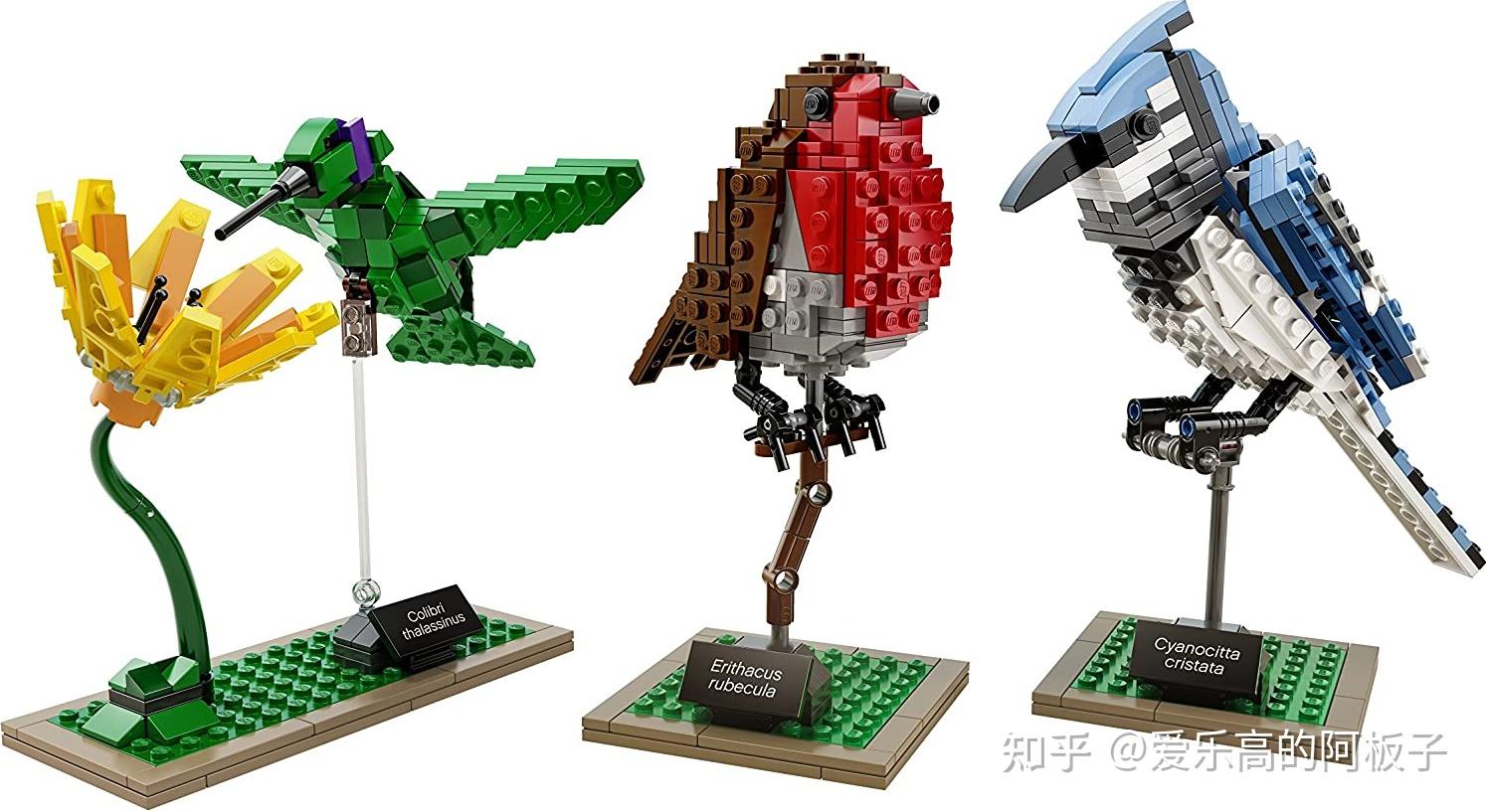 乐高lego 21316 摩登原始人