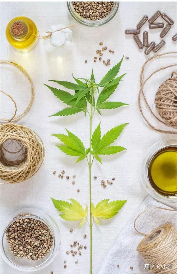 {全身是宝,汉麻堪当} 吸湿,透气,抑菌