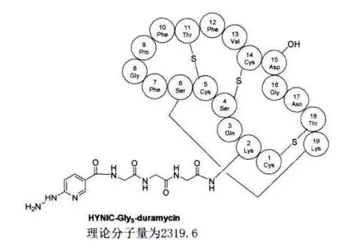 Hynic Gly Duramycin