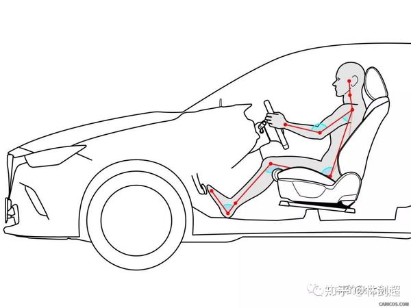 而正确的驾驶姿势应该就是 能够让这些与车辆发生接触的身体的部位的