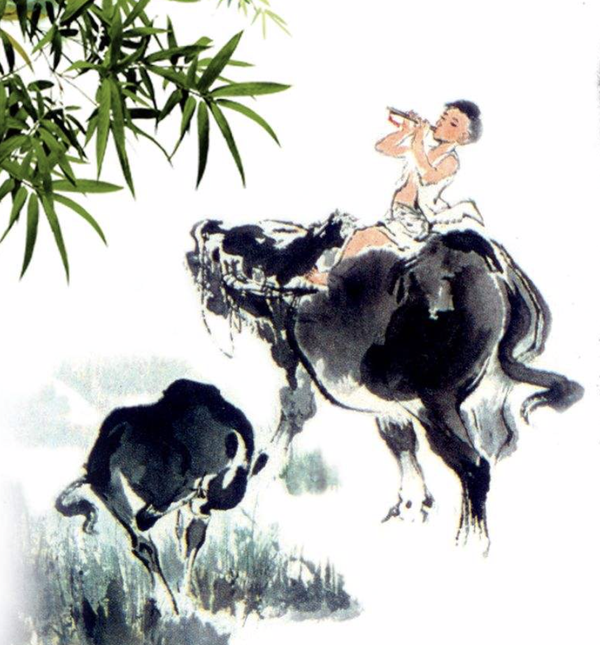 吃牛肉当然可以稍微赔补脾胃,但最重要的是可以参参学学老黄牛的 性德