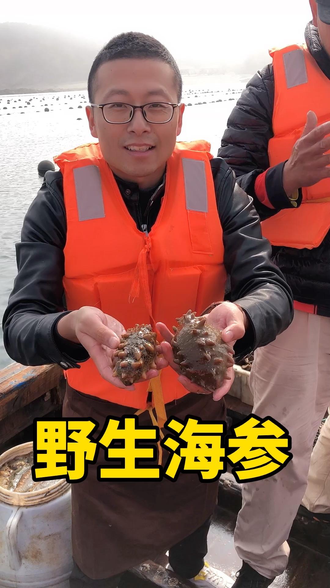 咱家海参都是自家捕捞的深海野生海参