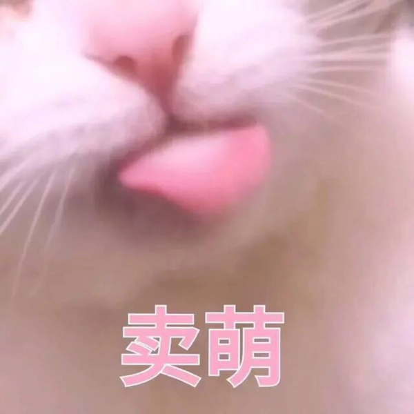 有什么适用于和老公/男票撒娇的可爱表情包?