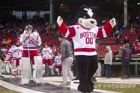 波士顿各大高校吉祥物背后的小故事 波士顿大学(bu) 吉祥物:boston