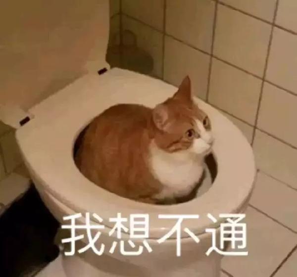 有没有那种一看就很沙雕的表情包