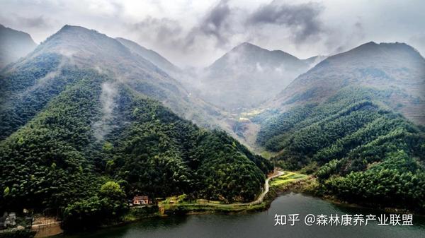 一位林业企业家的生态绿色梦湖北大冶市龙凤山森林康养基地