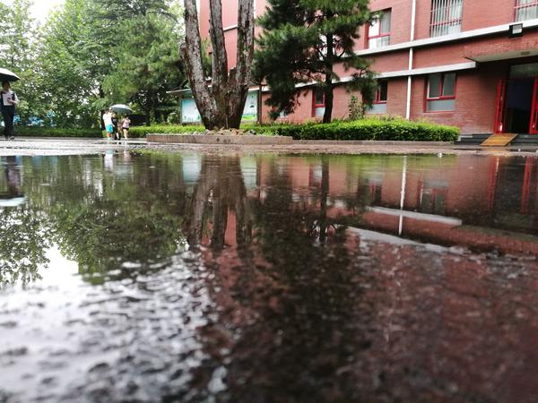成为北京十一学校的学生是怎样一种体验?