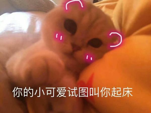 有没有给女朋友发的表情包?