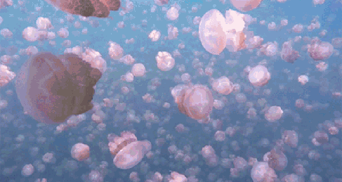 跟着「经济学人」学生物 the bitter bit - 知乎