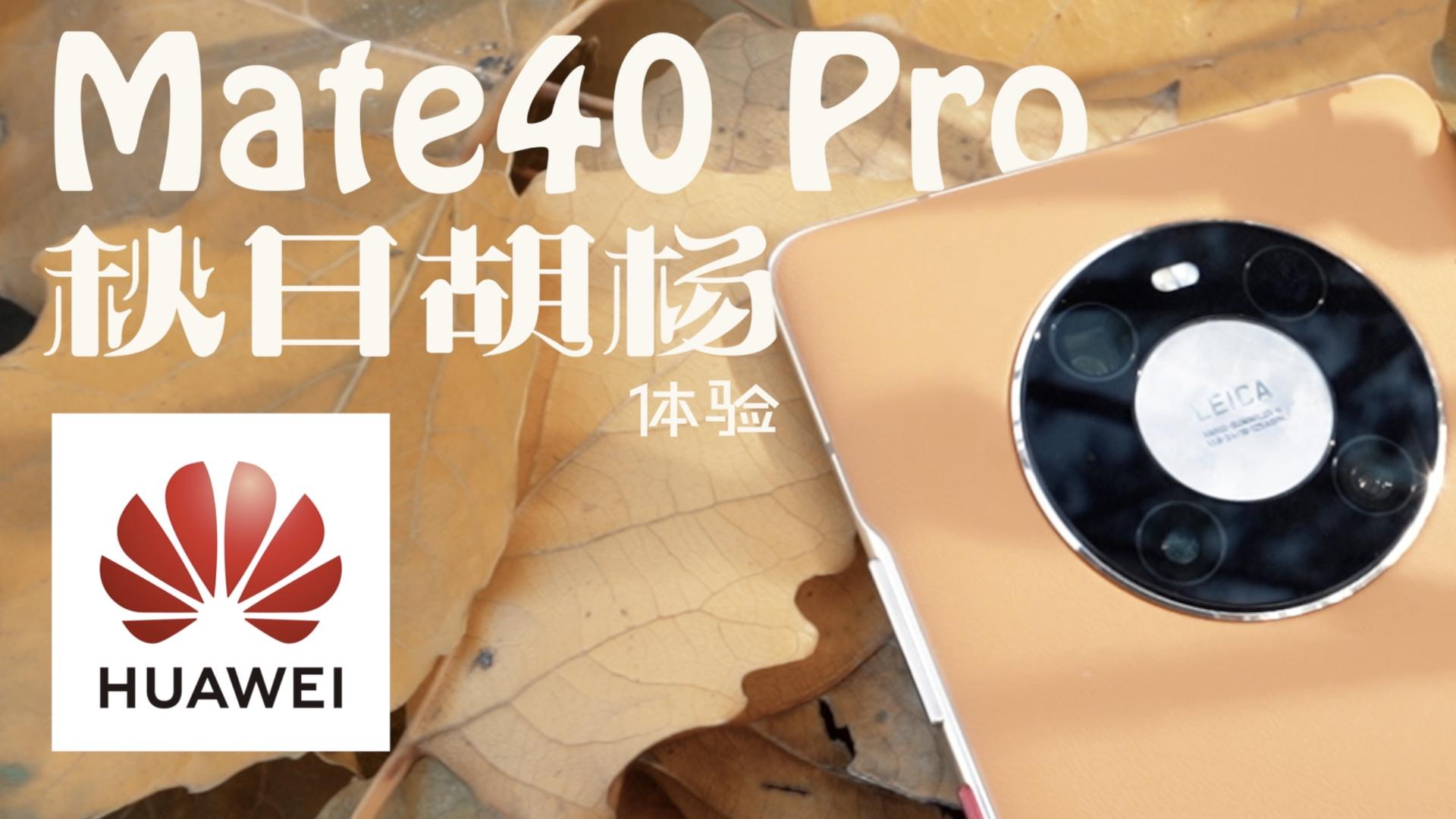 华为mate40pro 秋日胡杨素皮版本开箱!这颜色爱了