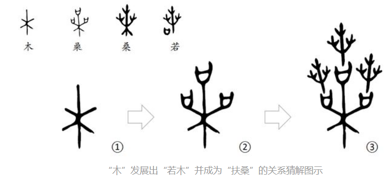 再猜扶桑建木