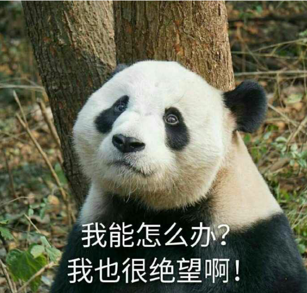 笑到停不下来是种怎样的体验?