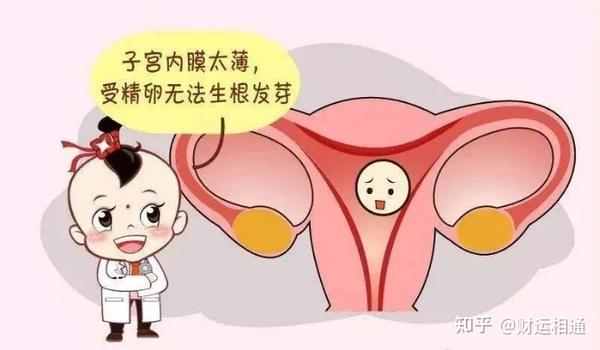 众所周知,成功怀孕有两个重要条件一是良好的子宫内膜和高质量的胚胎.