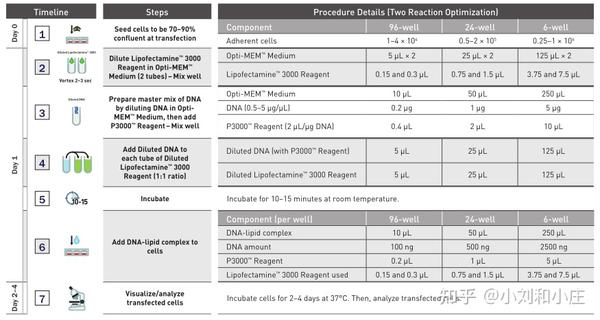 invitrogen (life t echnologies, usa) using lipofectamine 3000