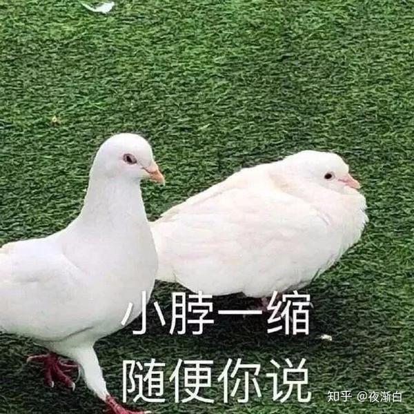 表情| 抖音上很火的大舌头表情包
