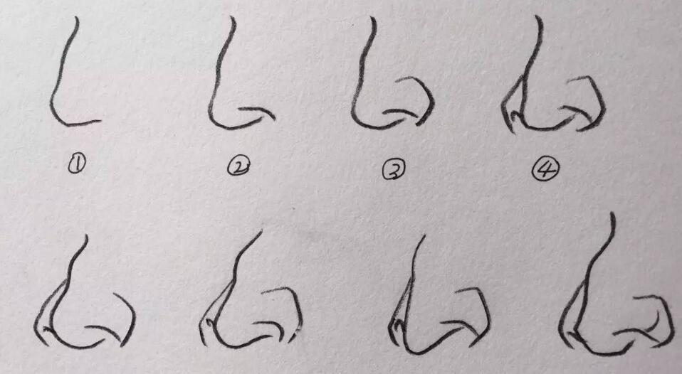 【绘画教程】动漫鼻子怎么画?新手向各种角度的鼻子画法教程!