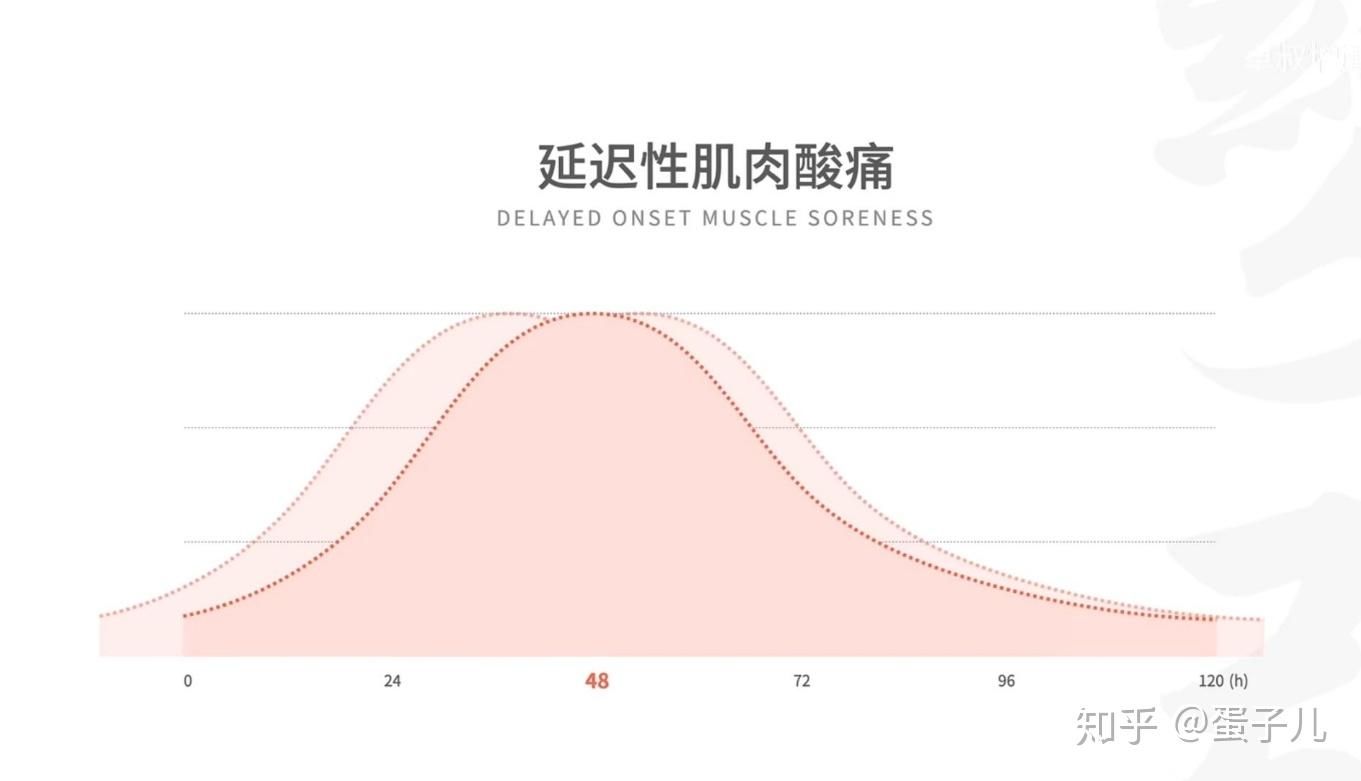 健身后肌肉疼痛还能继续锻炼吗2k字干货6分钟教你迅速了解肌肉酸痛