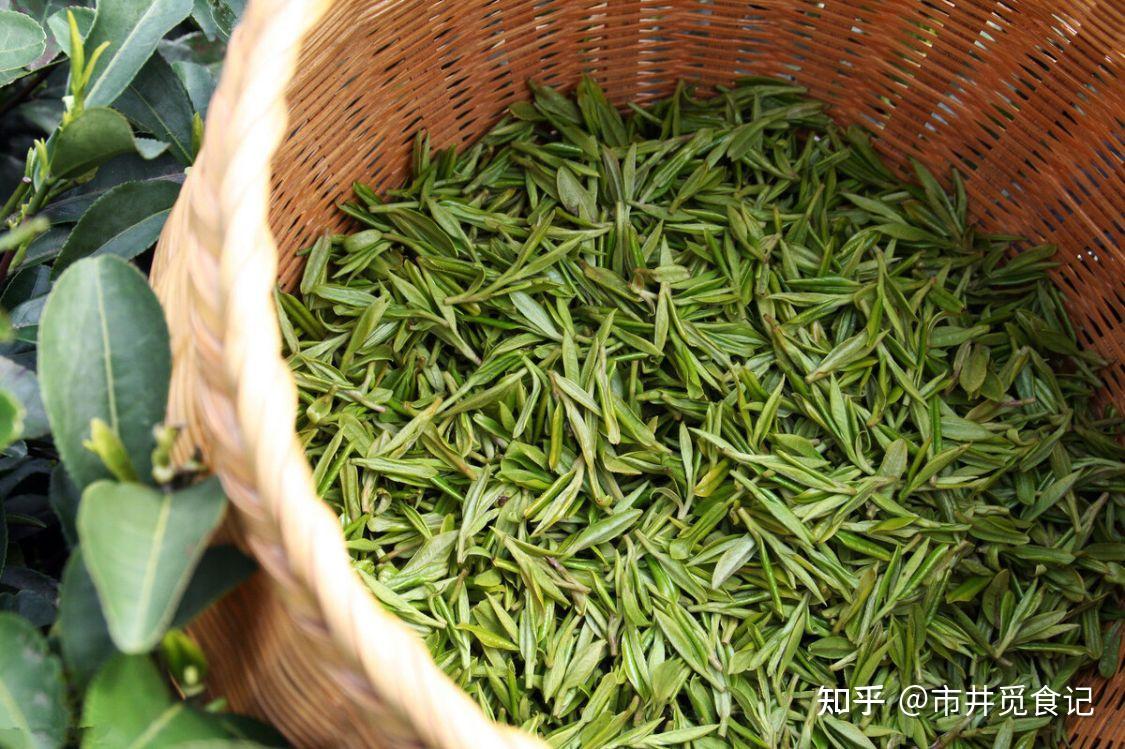 明前茶和雨前茶区别真的挺大吗