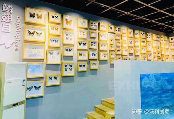 虫窝窝昆虫博物馆奇妙之旅