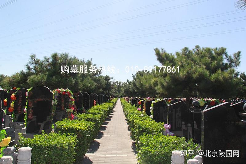 北京市朝阳区朝阳陵园墓地续费的价格介绍