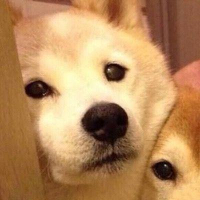 有什么中性好看的微信头像?