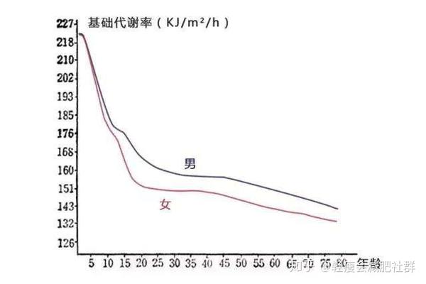 理性分析基础代谢对减肥的影响有多大