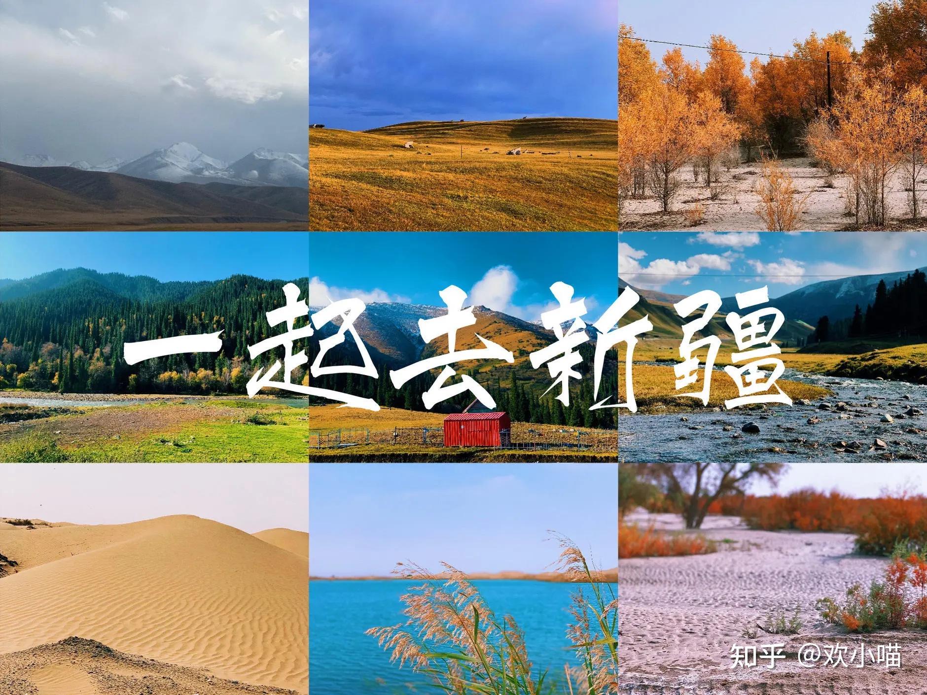 新疆旅游一年一度的金色胡杨林盛宴景点行程费用全有