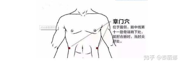 章门穴,隶属于足厥阴肝经;此穴为脏会穴; 【功效】统治五脏疾病:对