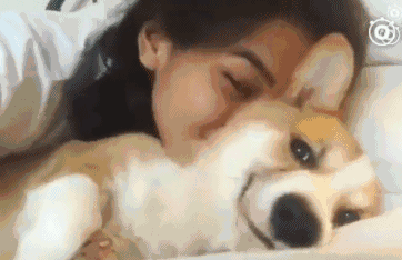 之类男女皆宜的电影或者你们都喜欢的18x动漫,galgame和男友一起玩