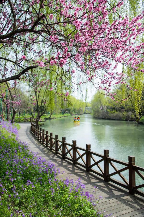 4月,我想和你去扬州走一走