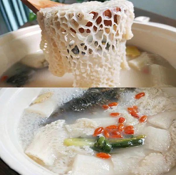 野生菌种类大科普之竹荪