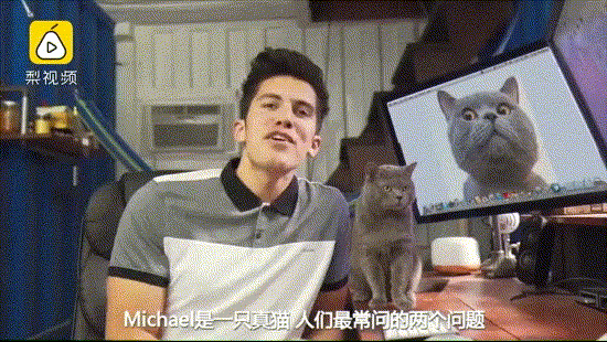 aaron介绍如何培养明星猫