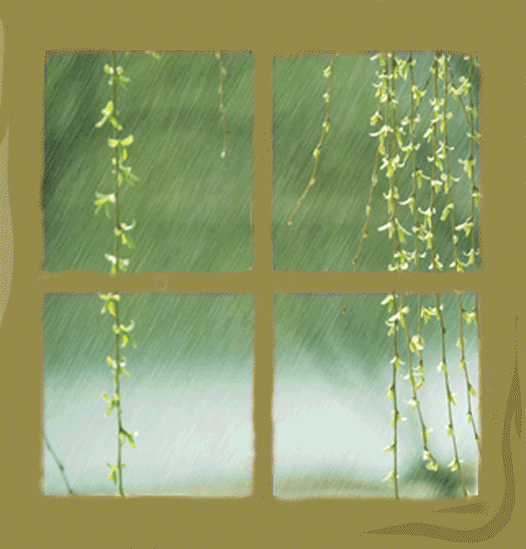 【gif】窗 (5.2) 春雨