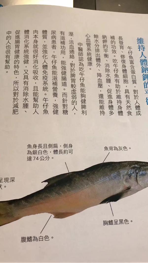 海钓野生鲈鱼 本港野生午鱼～好吃营养高[强] 营养价值拍照附上 源自