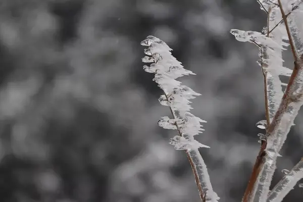 你看,配上冰凌和刚下的薄雪,多像一座水墨画中江南水乡的小桥!