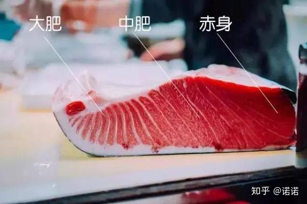 金枪鱼各个部位的口感,肉质,脂肪含量都不同.