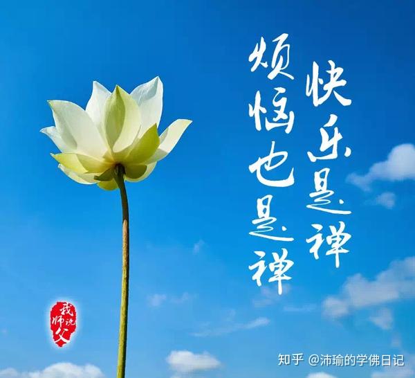 如何让自己自由自在