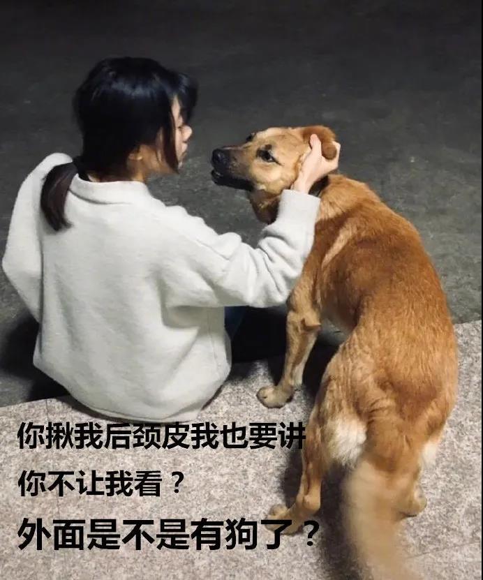 姑娘说我刚被狗锁喉了